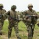 Nigerian soldiers