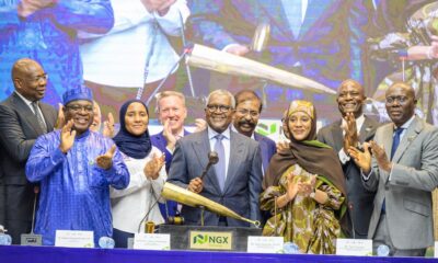dangote ipo