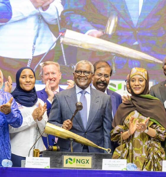 dangote ipo