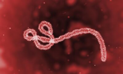 ebola
