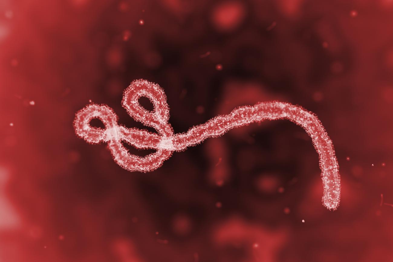 ebola